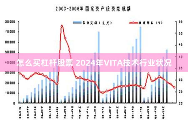 怎么买杠杆股票 2024年VITA技术行业状况