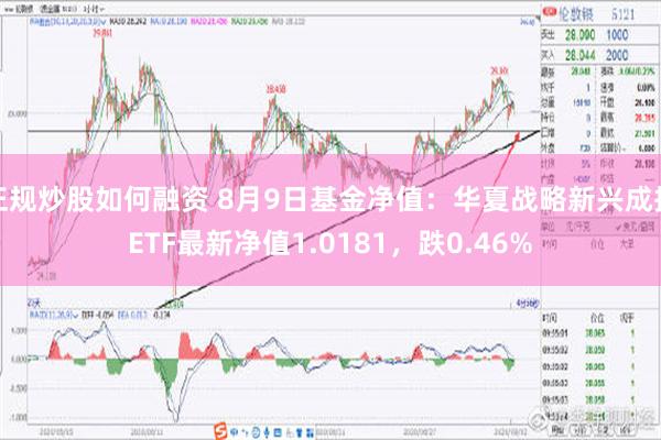 正规炒股如何融资 8月9日基金净值：华夏战略新兴成指ETF最新净值1.0181，跌0.46%