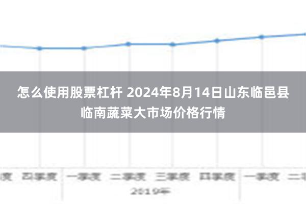 怎么使用股票杠杆 2024年8月14日山东临邑县临南蔬菜大市场价格行情