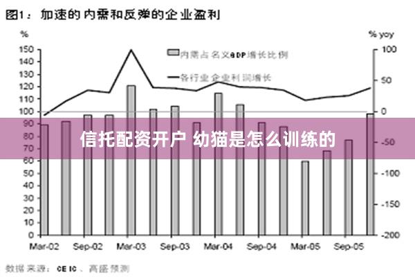 信托配资开户 幼猫是怎么训练的