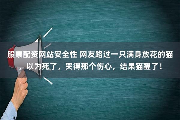 股票配资网站安全性 网友路过一只满身放花的猫，以为死了，哭得那个伤心，结果猫醒了！