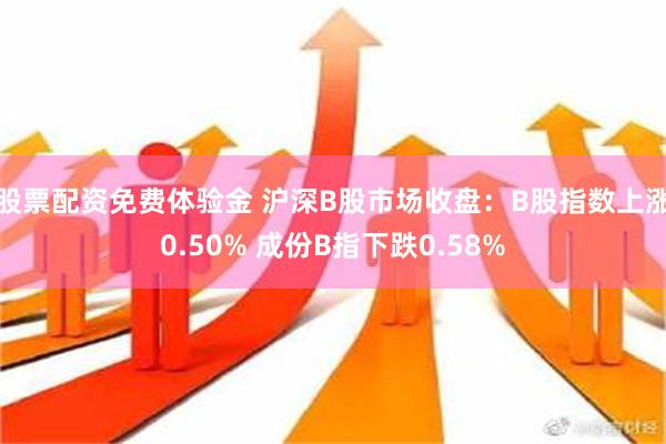 股票配资免费体验金 沪深B股市场收盘：B股指数上涨0.50% 成份B指下跌0.58%