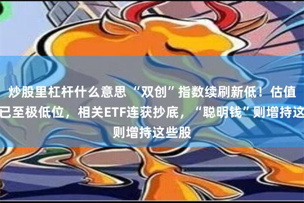 炒股里杠杆什么意思 “双创”指数续刷新低！估值水平已至极低位，相关ETF连获抄底，“聪明钱”则增持这些股