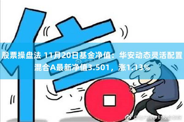 股票操盘法 11月20日基金净值：华安动态灵活配置混合A最新净值3.501，涨1.13%