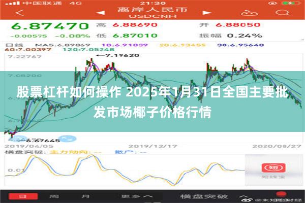 股票杠杆如何操作 2025年1月31日全国主要批发市场椰子价格行情